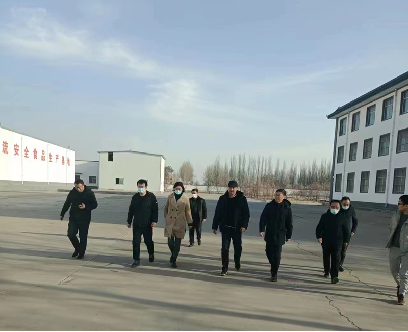 石嘴山市副市長、惠農(nóng)區(qū)委書記王宇翔蒞臨寧夏興康恒潤農(nóng)業(yè)科技發(fā)展有限公司調(diào)研