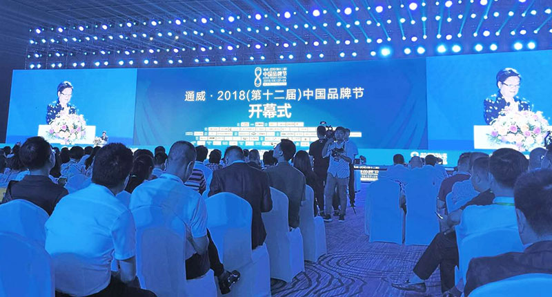 岳平安董事長(zhǎng)應(yīng)邀出席第十二屆中國品牌節(jié)